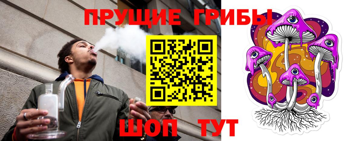 Северск  Галлюциногенные грибы Psilocybe  Вход с VPN 